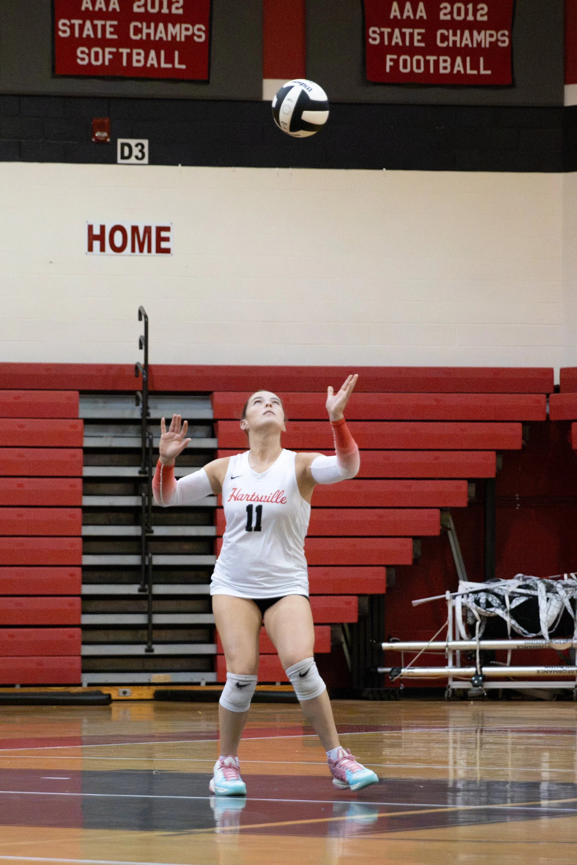 HHSvball8-14-183.jpg