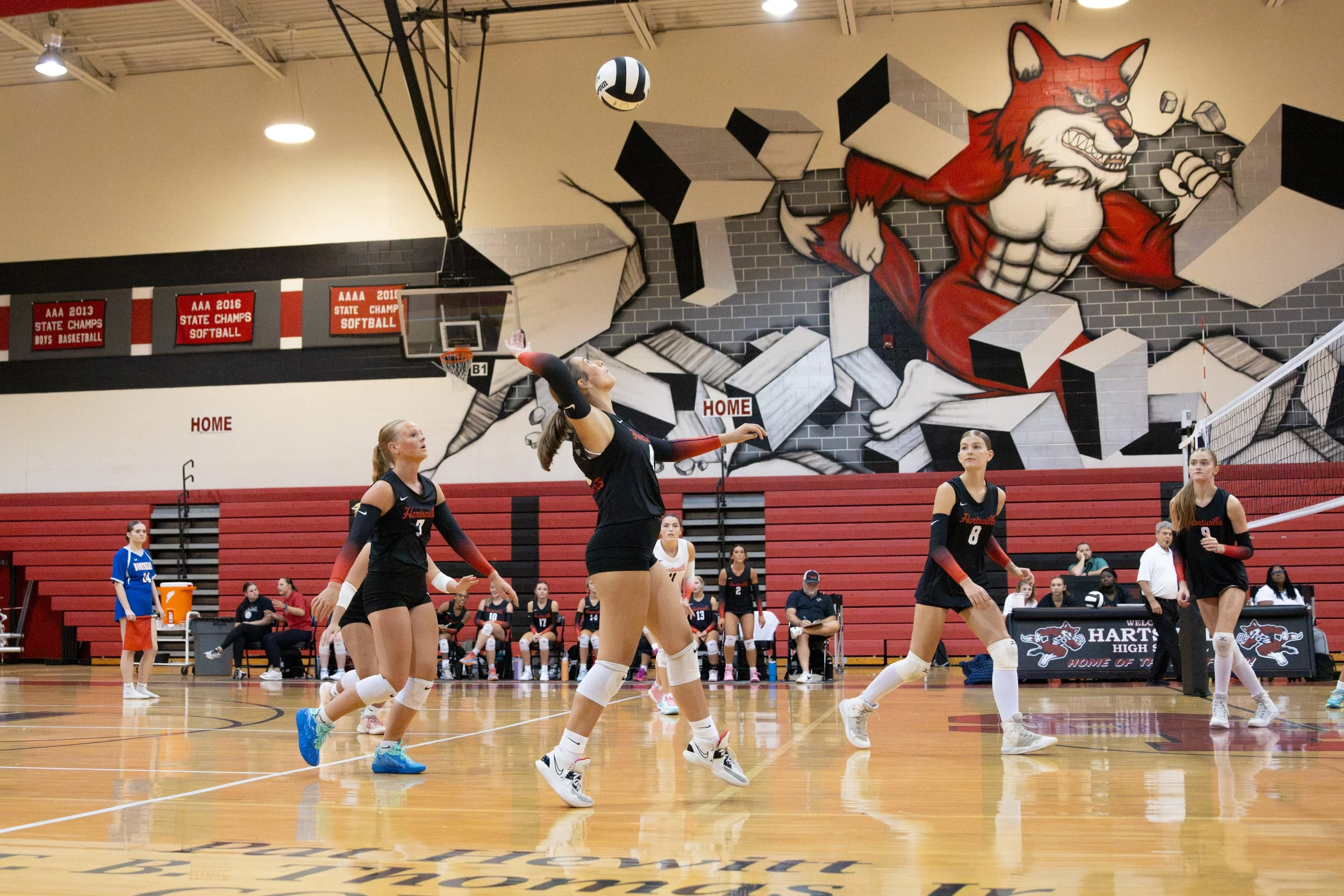 HHSvball8-14-163.jpg