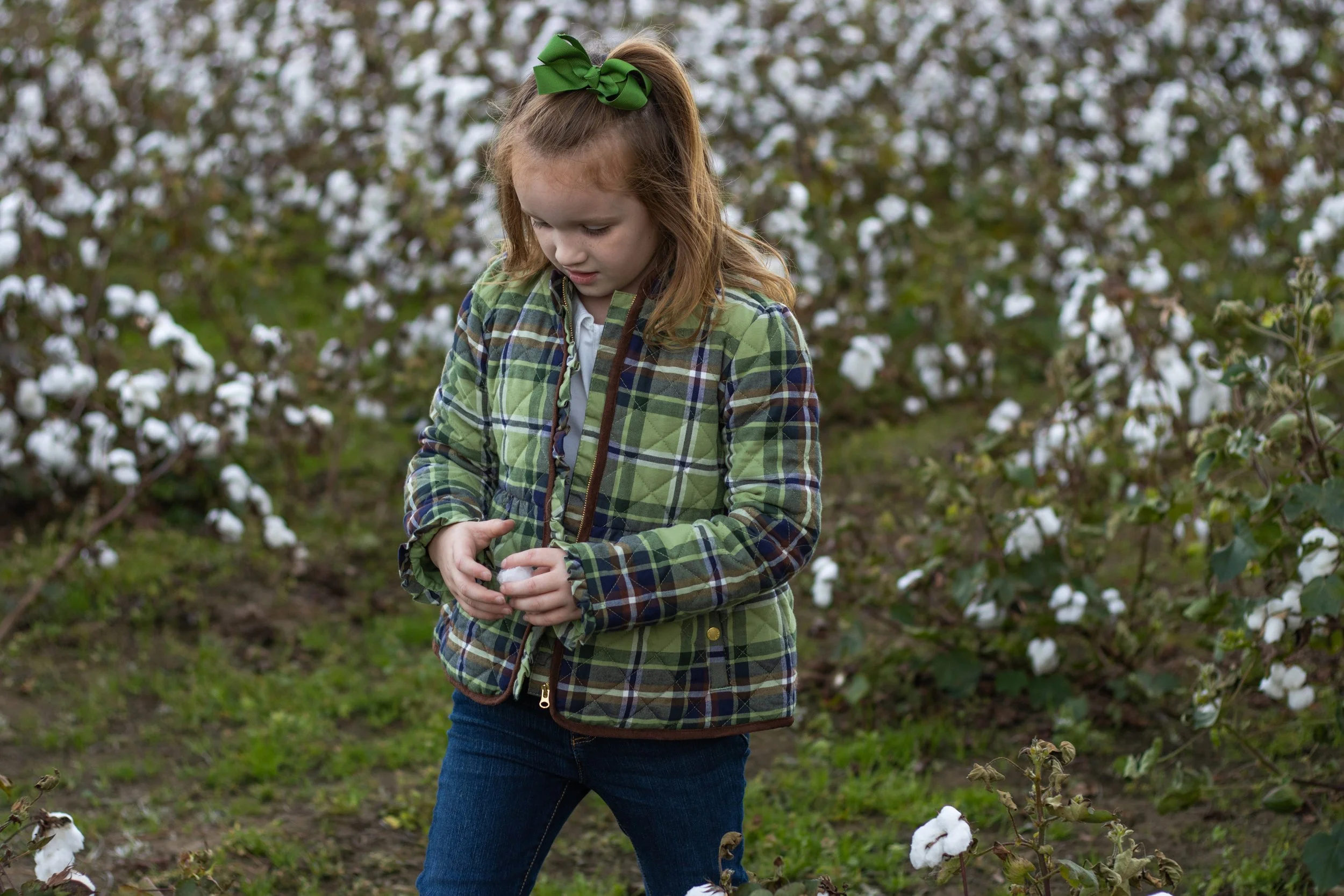 cottonfield24-38.jpg