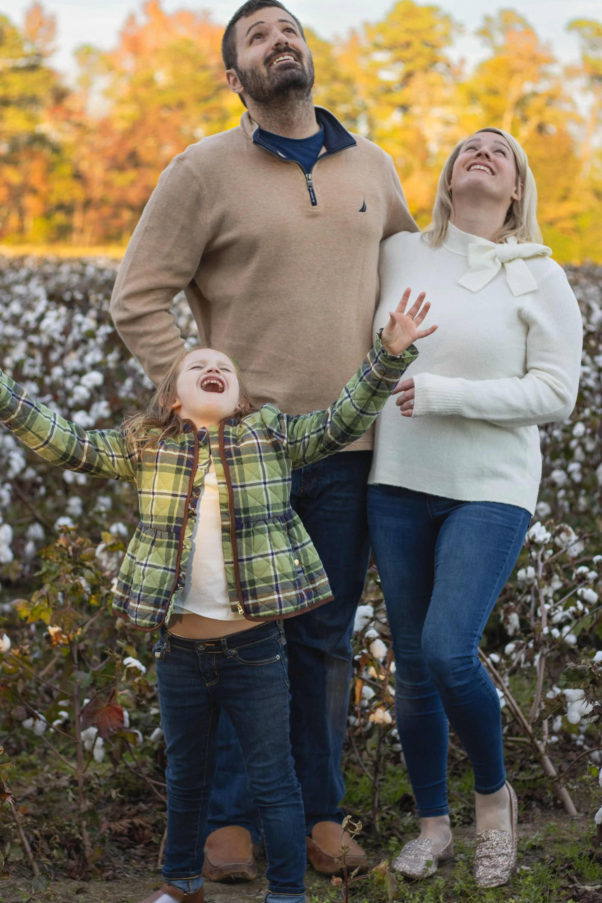 cottonfield24-9.jpg