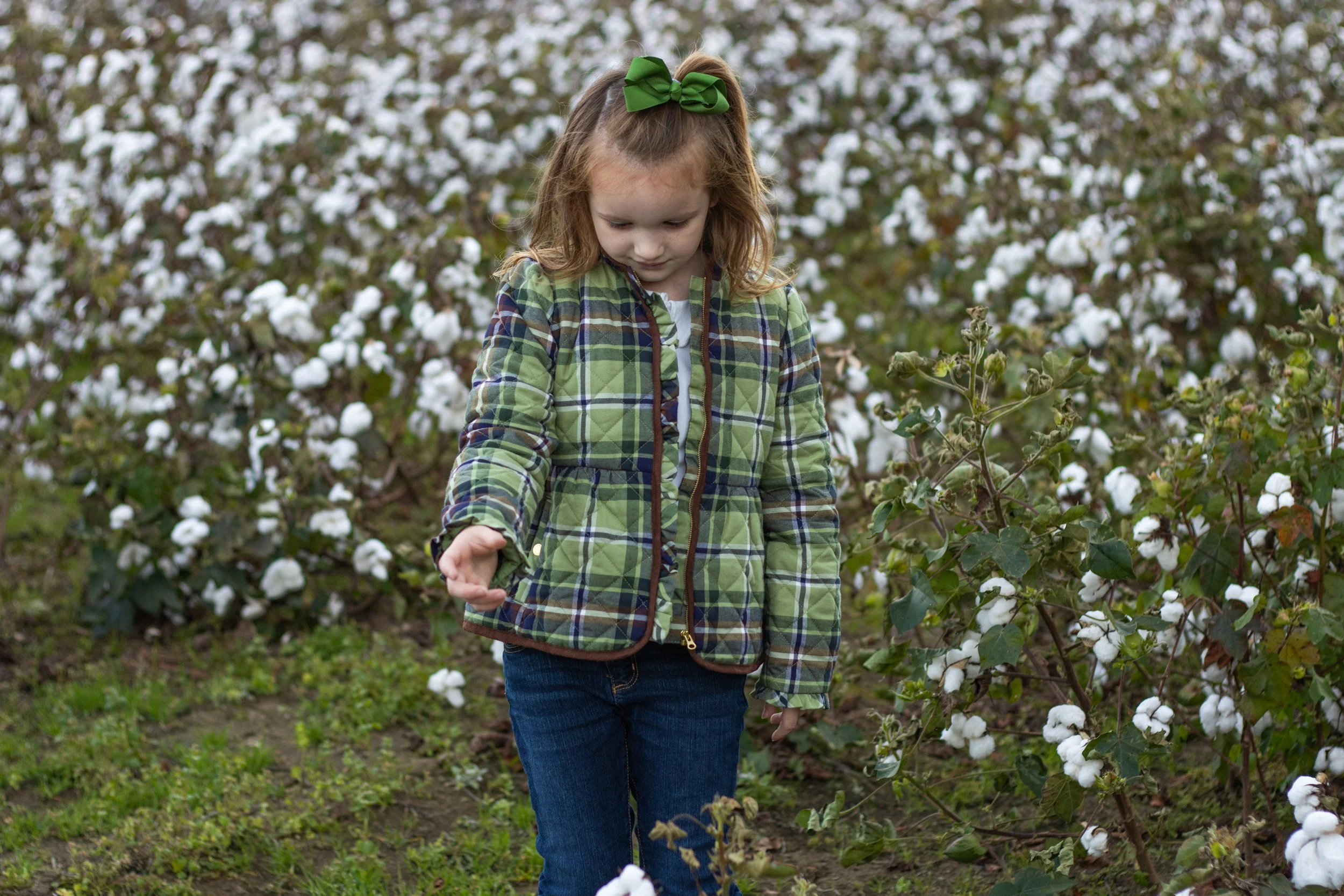 cottonfield24-35.jpg