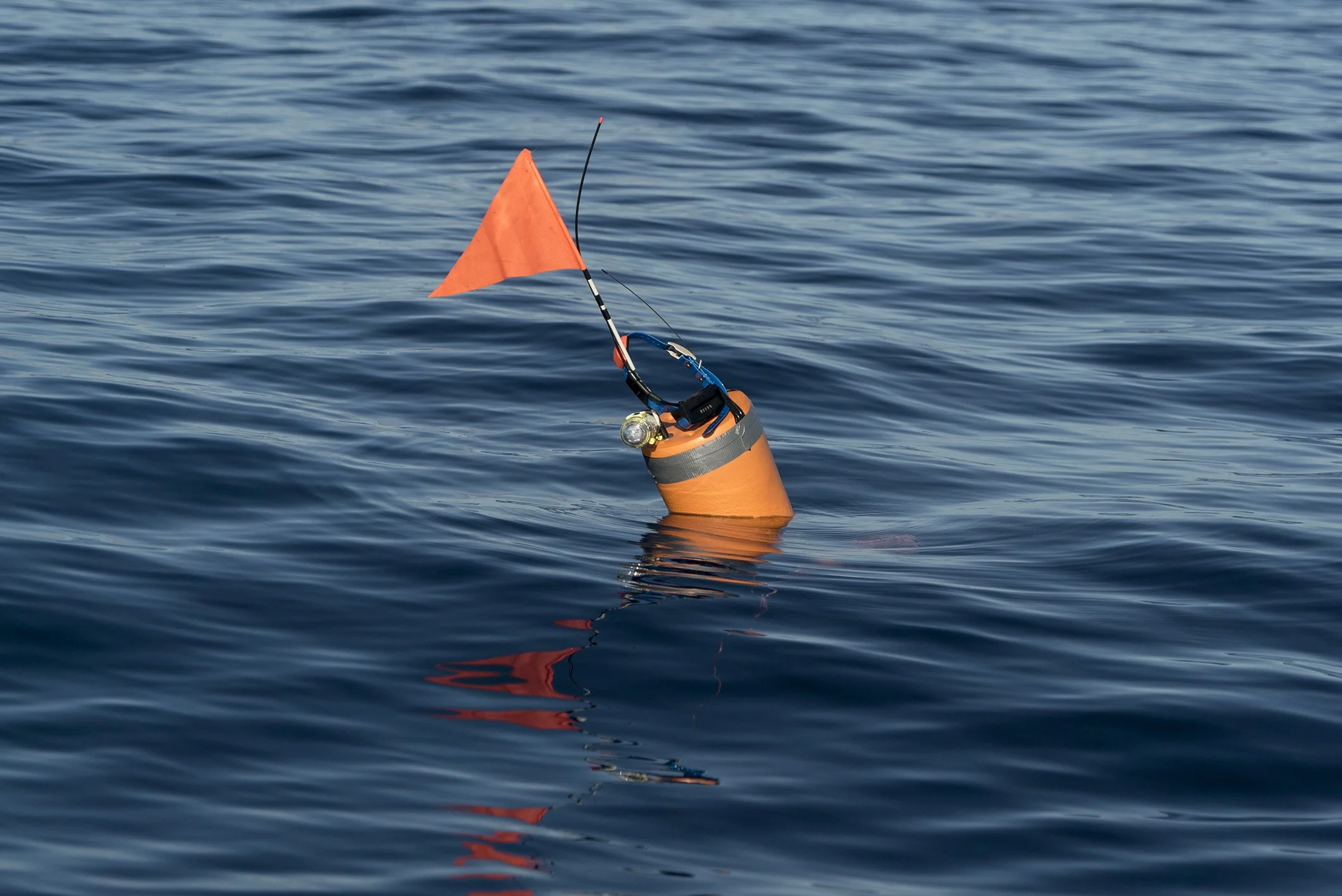 drifterimg1.jpg