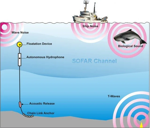 Hydrophones & Ocean Acoustics