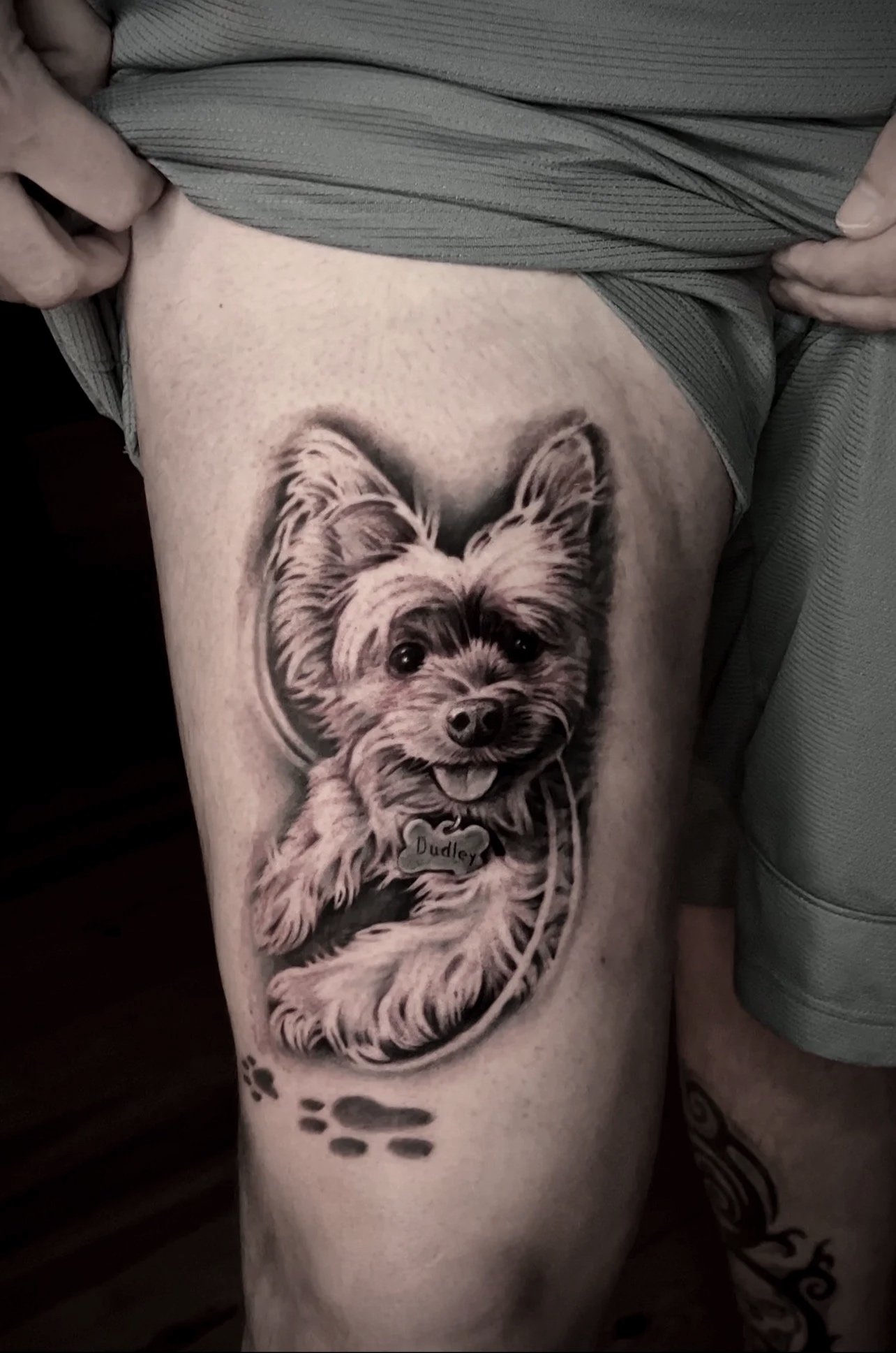 Yorkshire Terrier portrait tattoo with Dudley name tag by Luis Dajer.