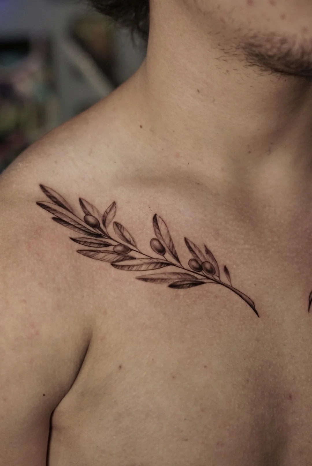 Fine-line olive branch collarbone tattoo by Luis Dajer in Charlotte, NC.