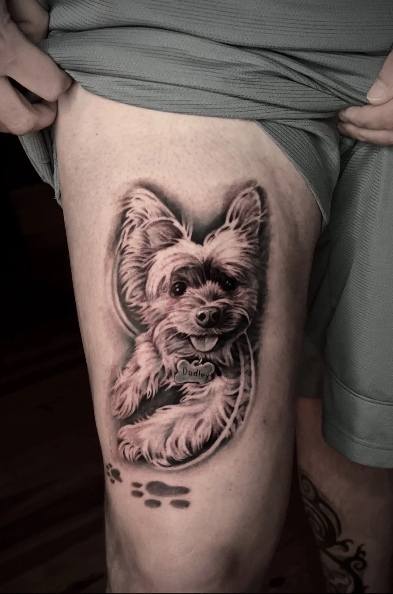 Yorkshire Terrier portrait tattoo with a Dudley name tag by Luis Dajer.