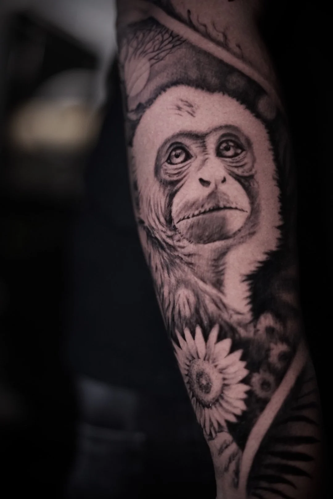 Black-and-gray chimpanzee portrait with flowers by Luis Dajer in Charlotte, NC.