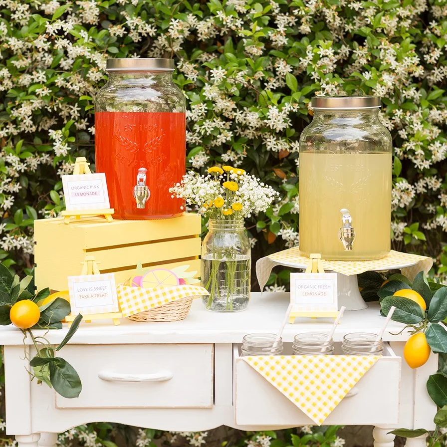 Lemonade Stand