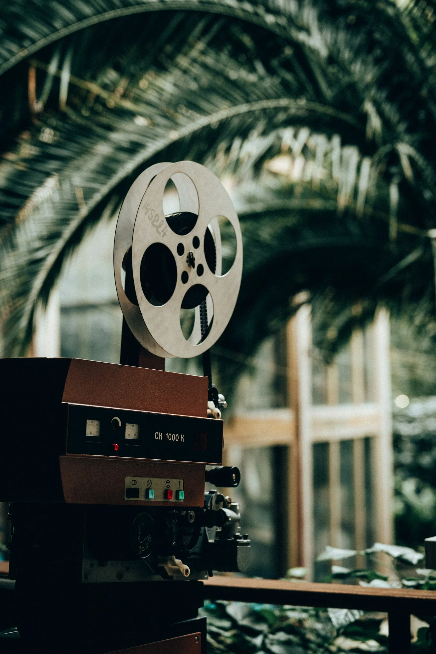 Close-up of vintage film projector with palm leaves in background.