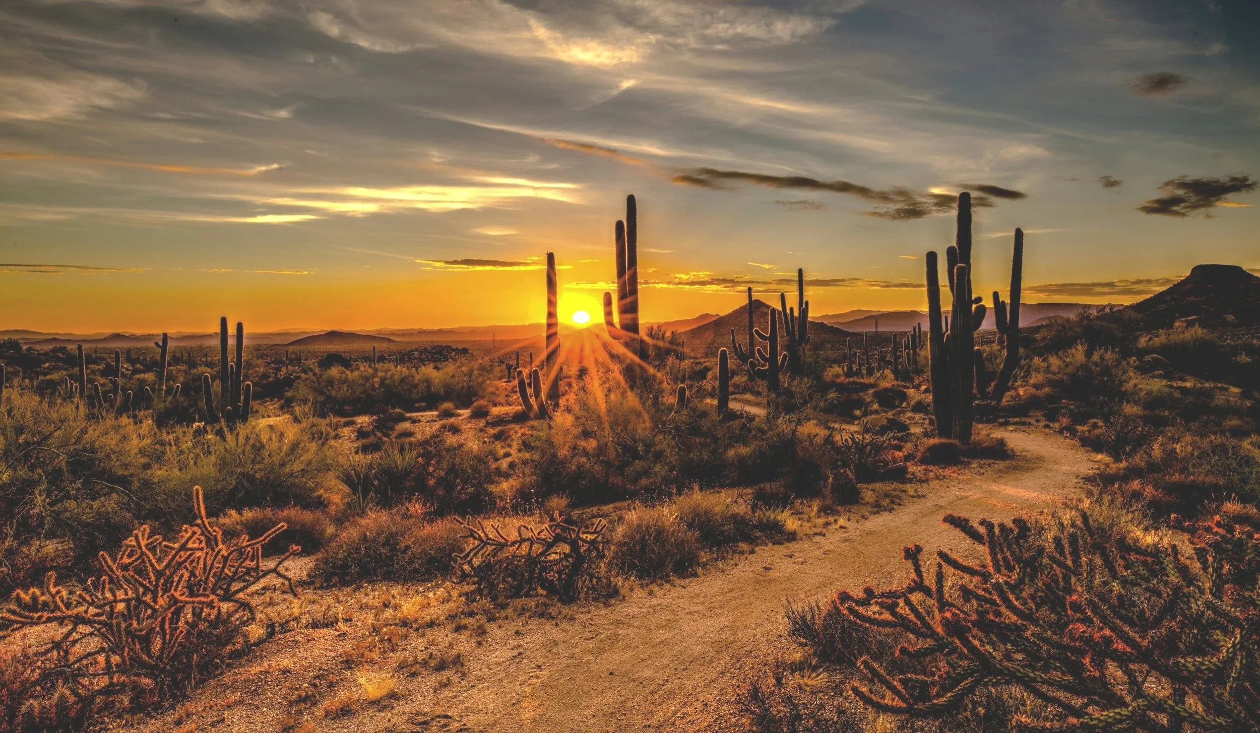 Arizona desert landscape at sunset with cacti and mountains in the background.