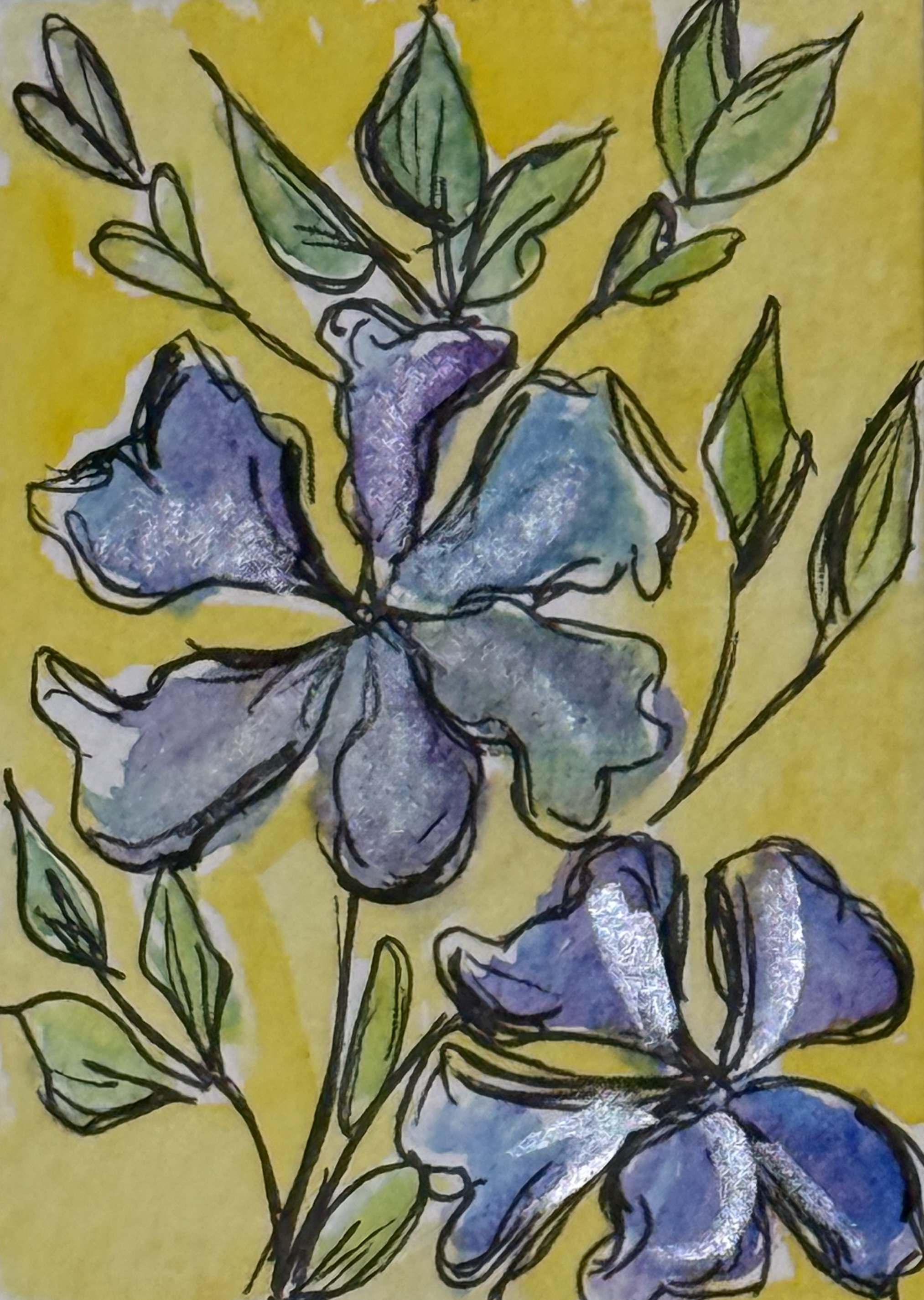 6. aceo.jpeg