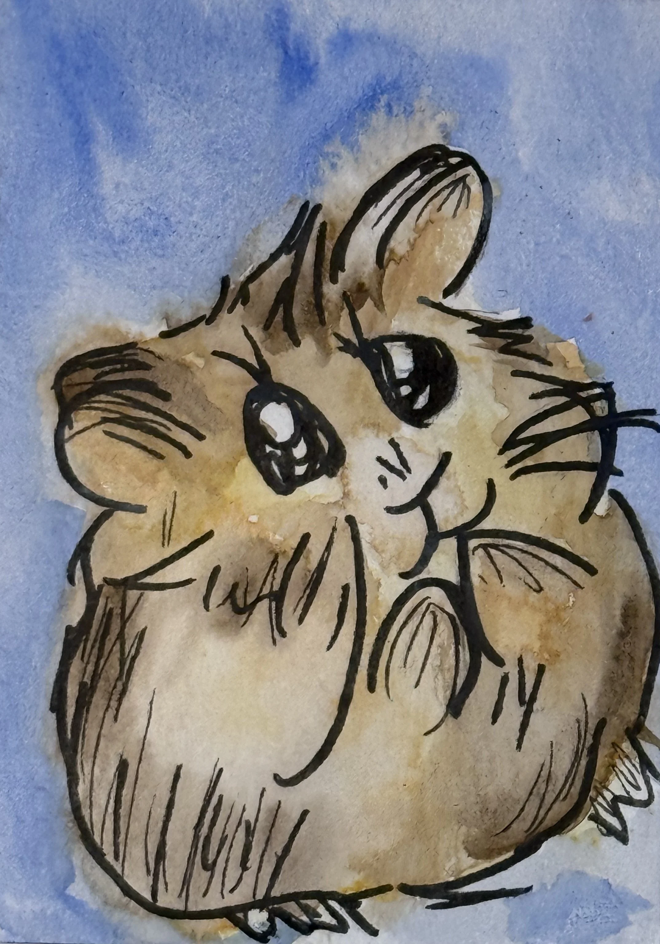 ACEO #59 Print Animal Collection