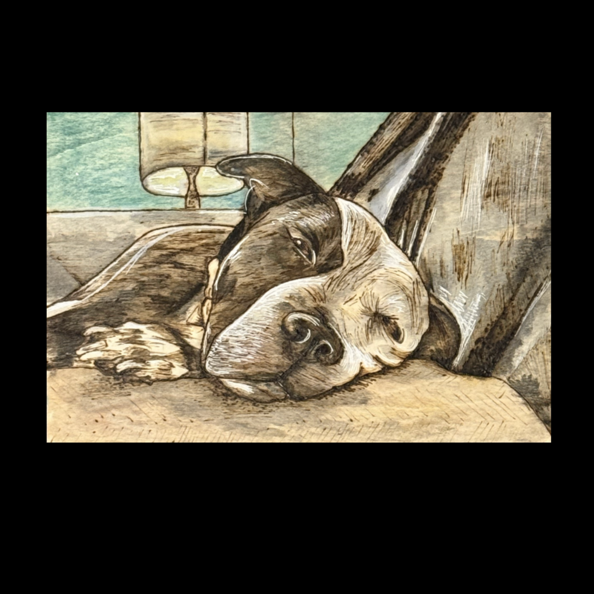 IMG_8075.png