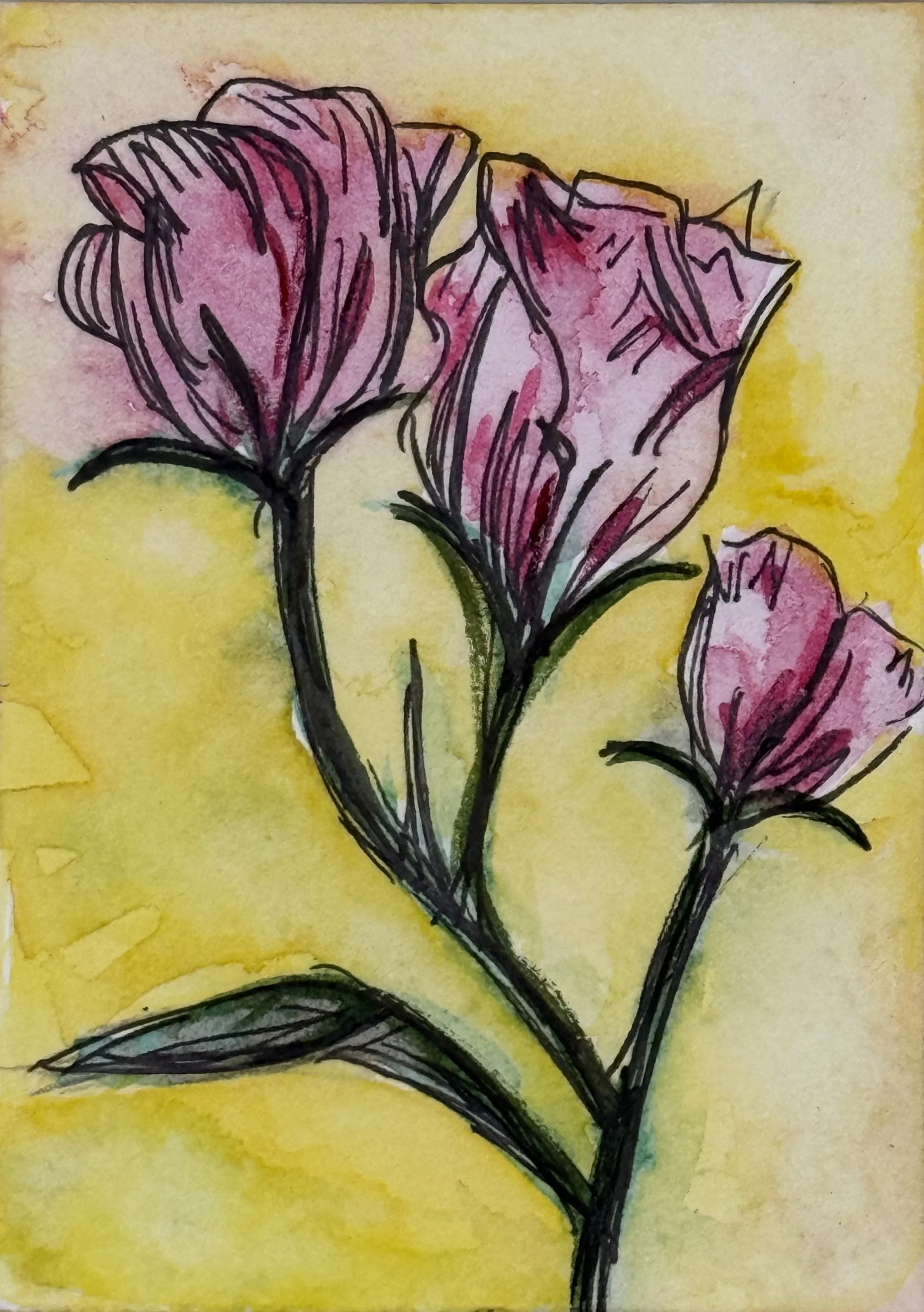 ACEO #25 Print Flower Collection