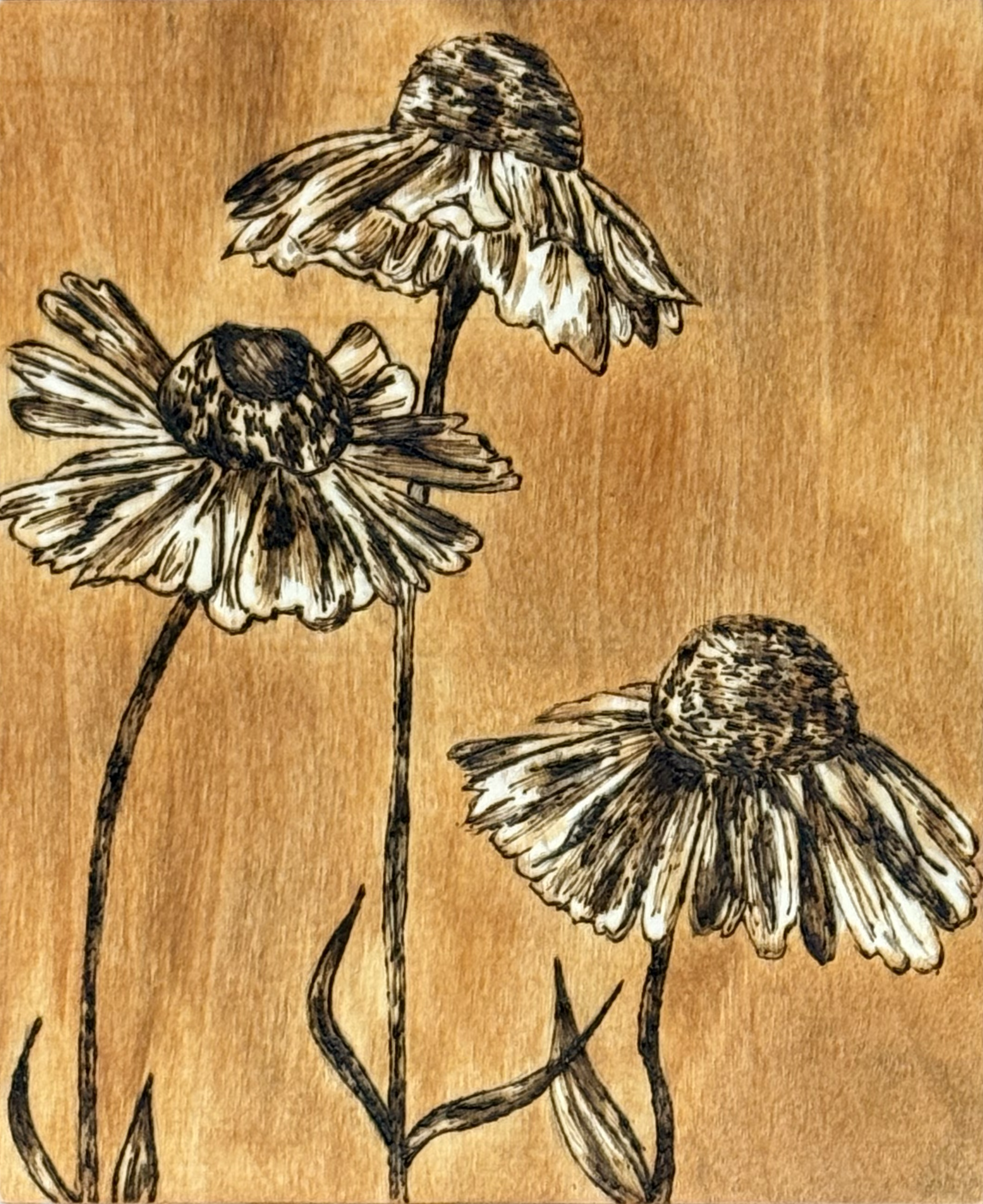 Melissa LaBy_Can I paint with stain?_9x7.5x.25.PNG