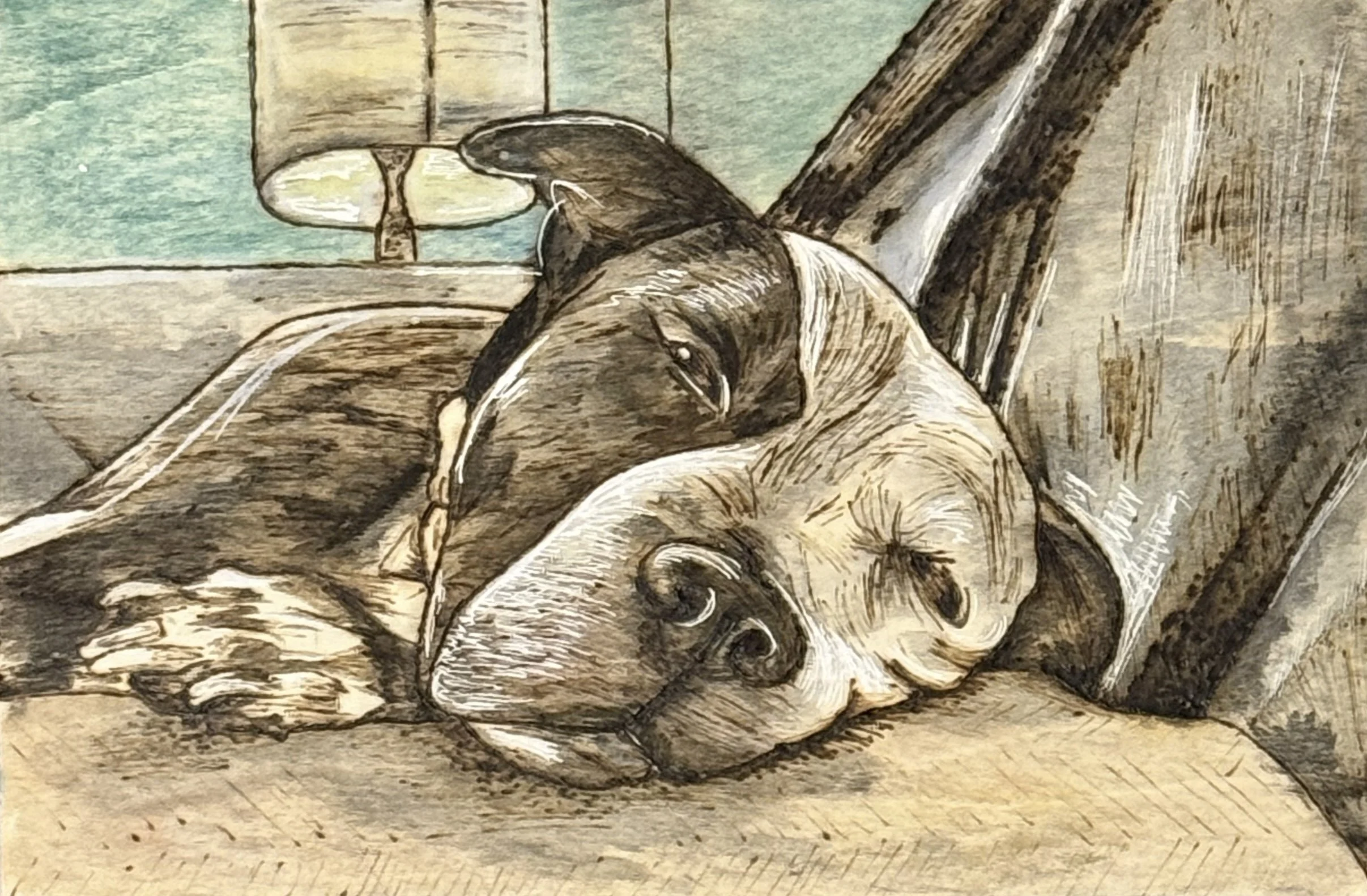 Melissa LaBoy_Sleepy Meatie_8x12.jpg