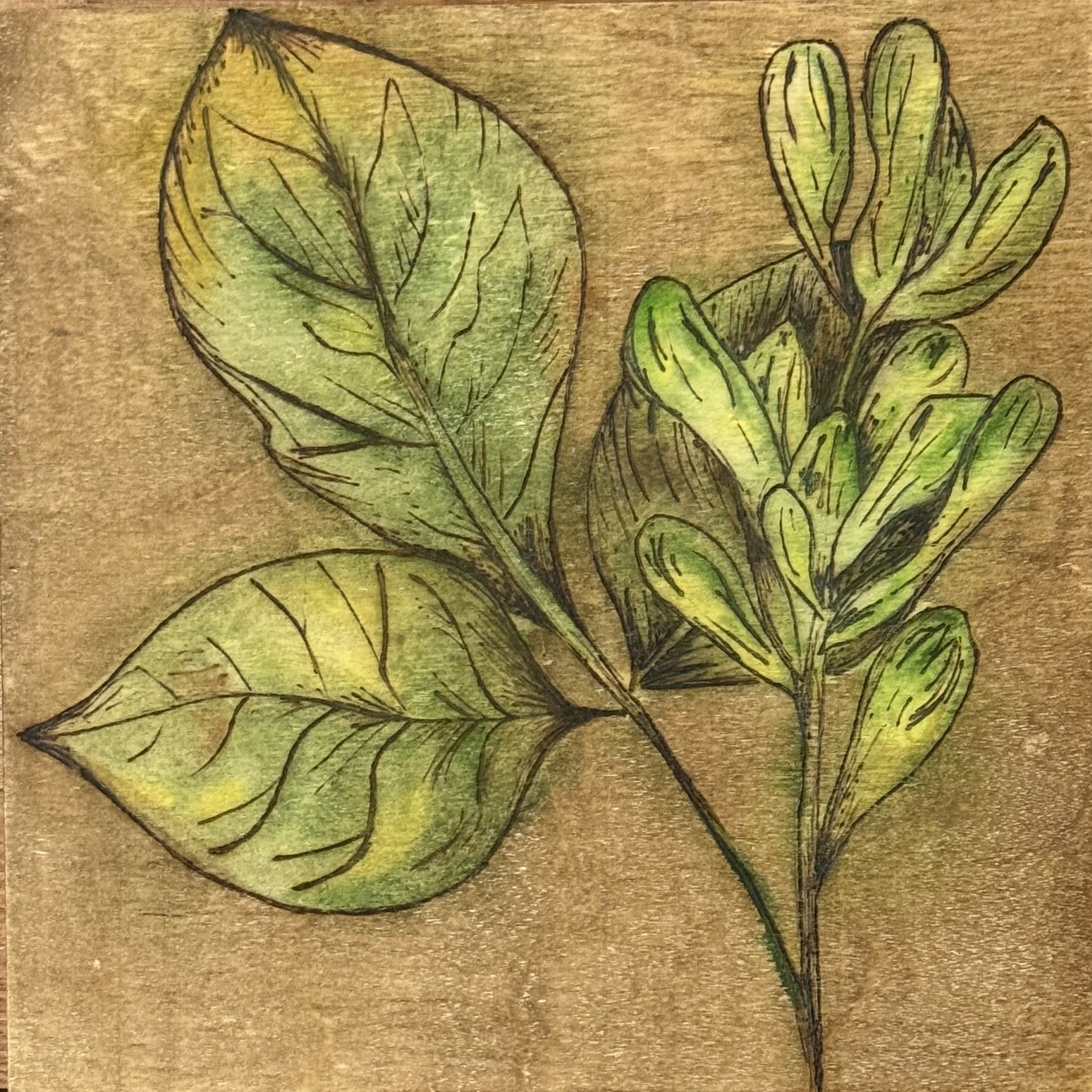 "Verdant" Print