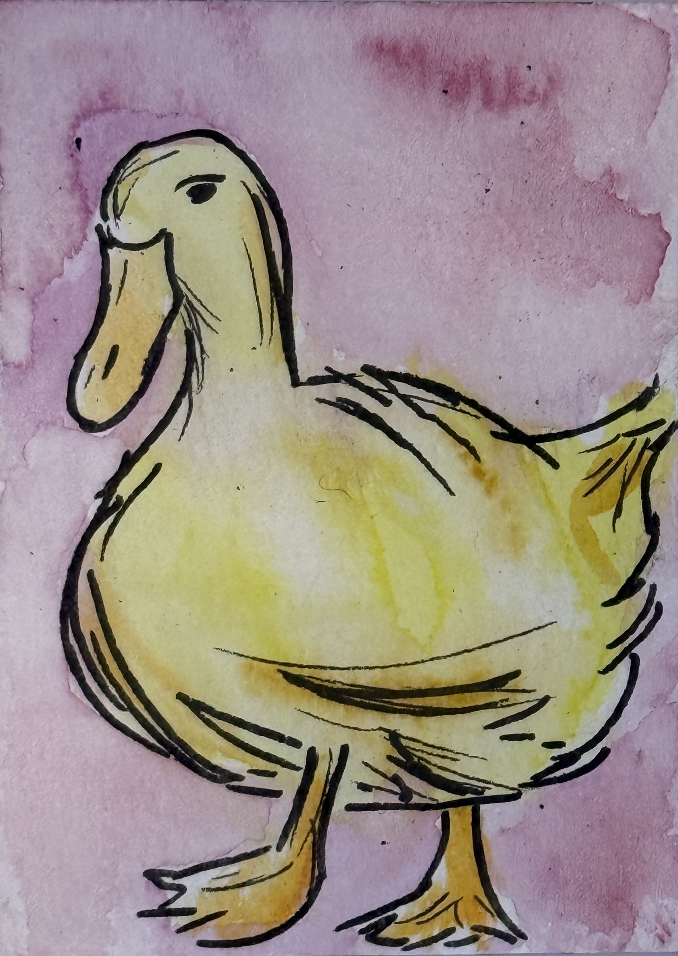 ACEO #65 Print Animal Collection