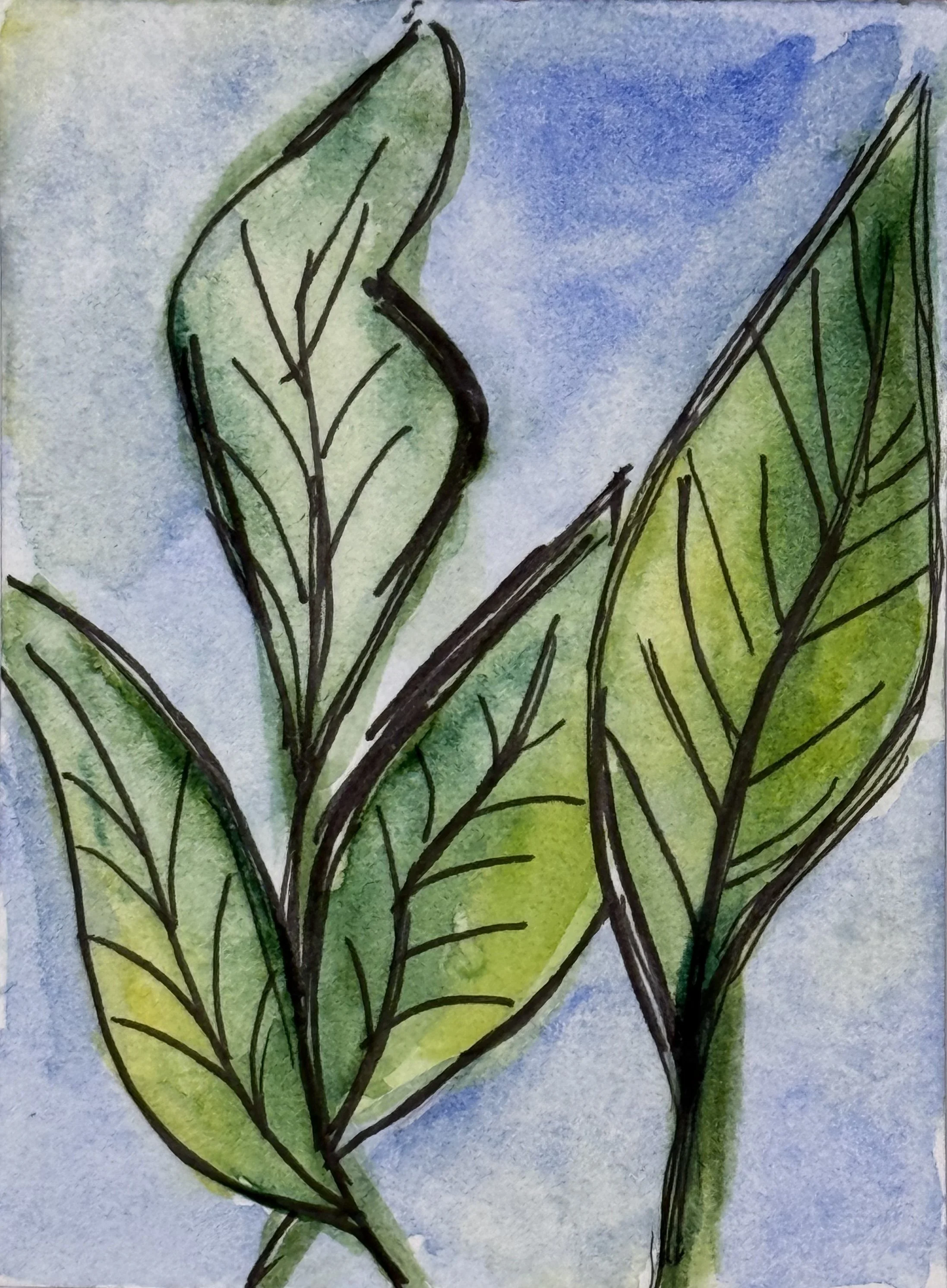 ACEO #17 Print Flower Collection