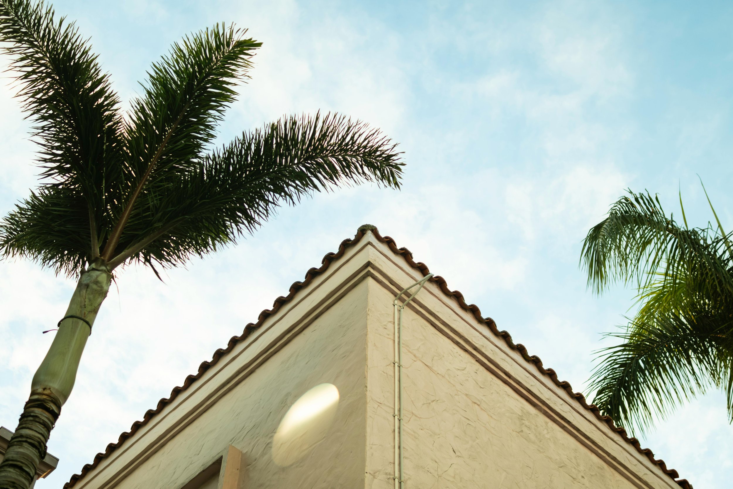 The corner of a beige building with a Spanish tile roof, surrounded by tall palm trees against a blue sky.
