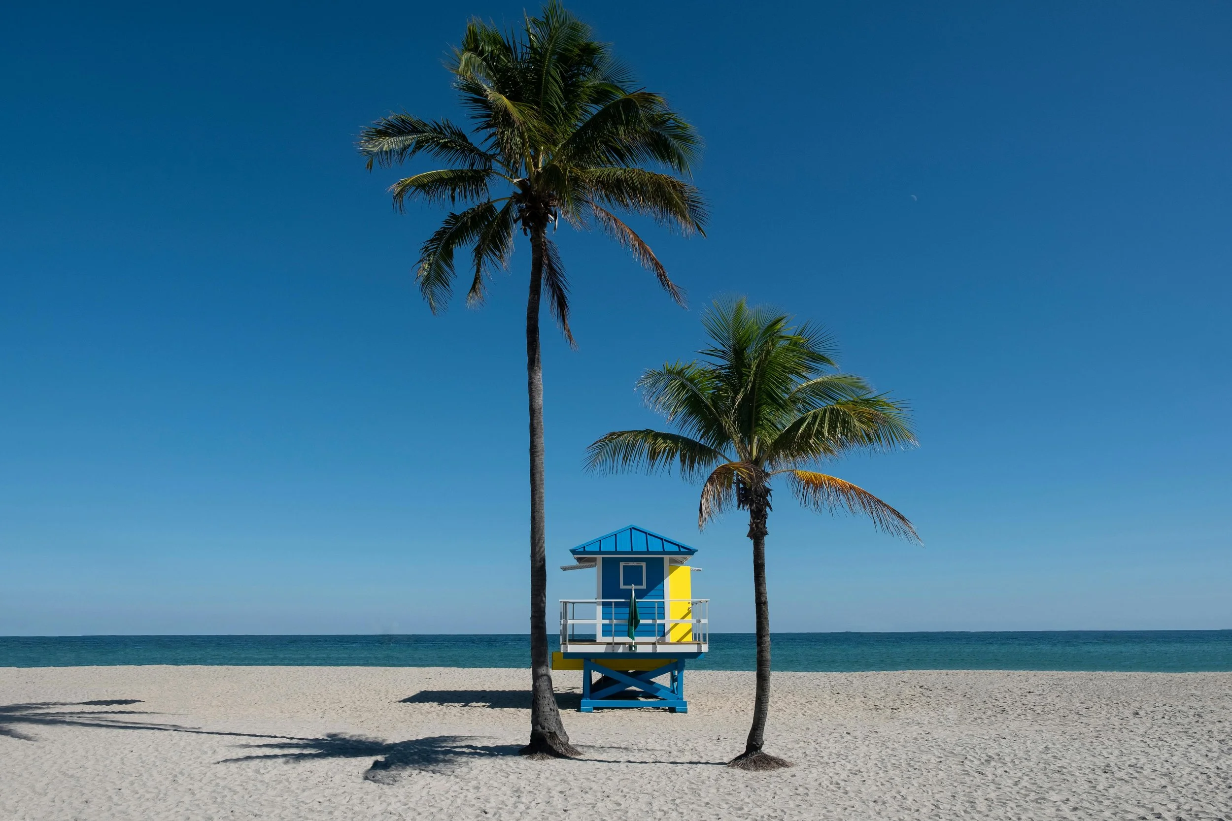 A sandy beach with two tall palm trees and a blue lifeguard tower with yellow accents near the shoreline. The ocean and a clear blue sky are in the background, with a small moon visible in the sky.