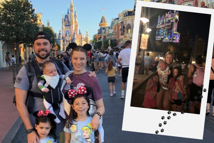 Election Year Enchantment: Navigating Markets in the Political Theme Park
