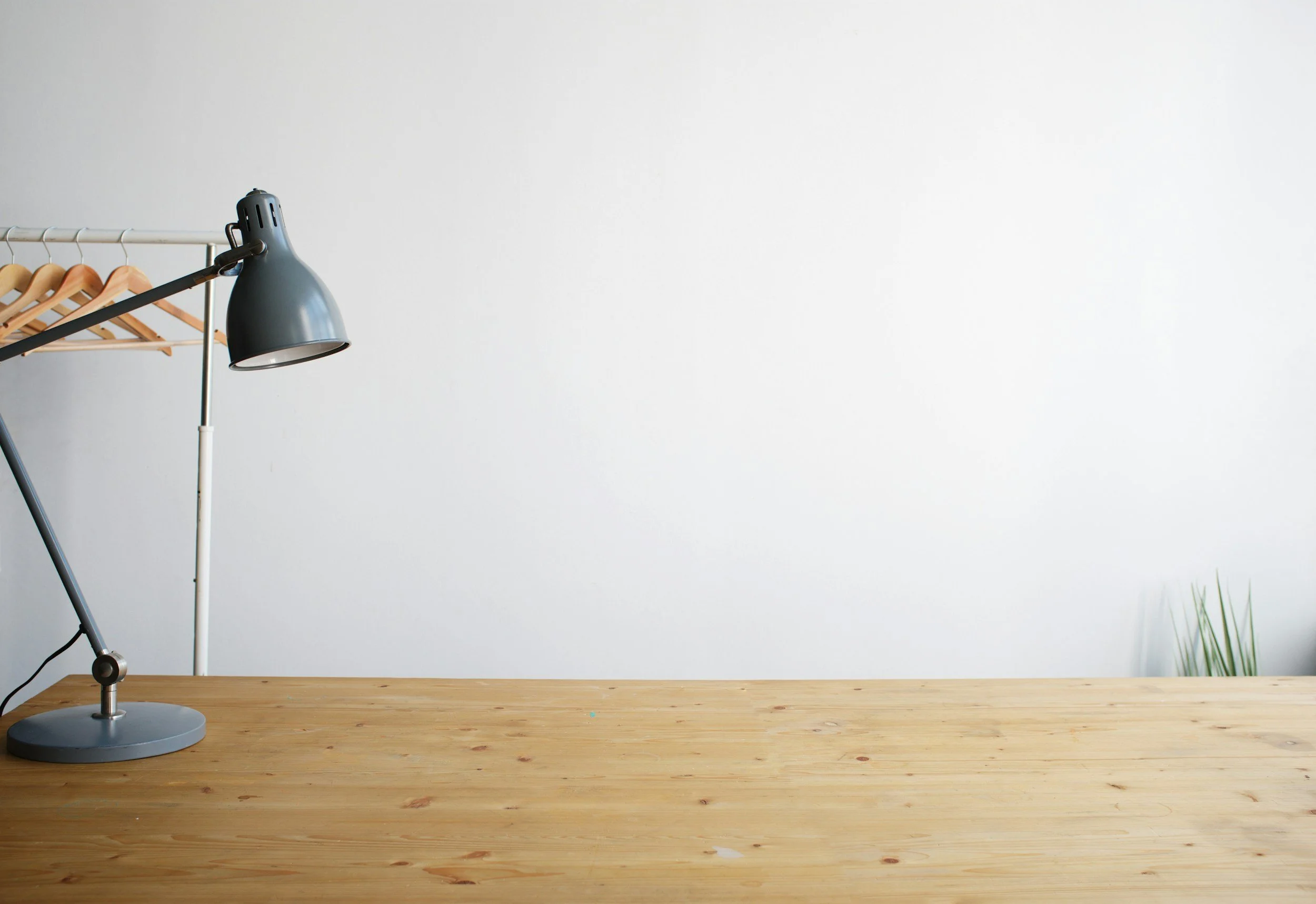 A desk lamp sitting on a wooden table against a plain white wall with a small section of green plant visible at the bottom right corner.