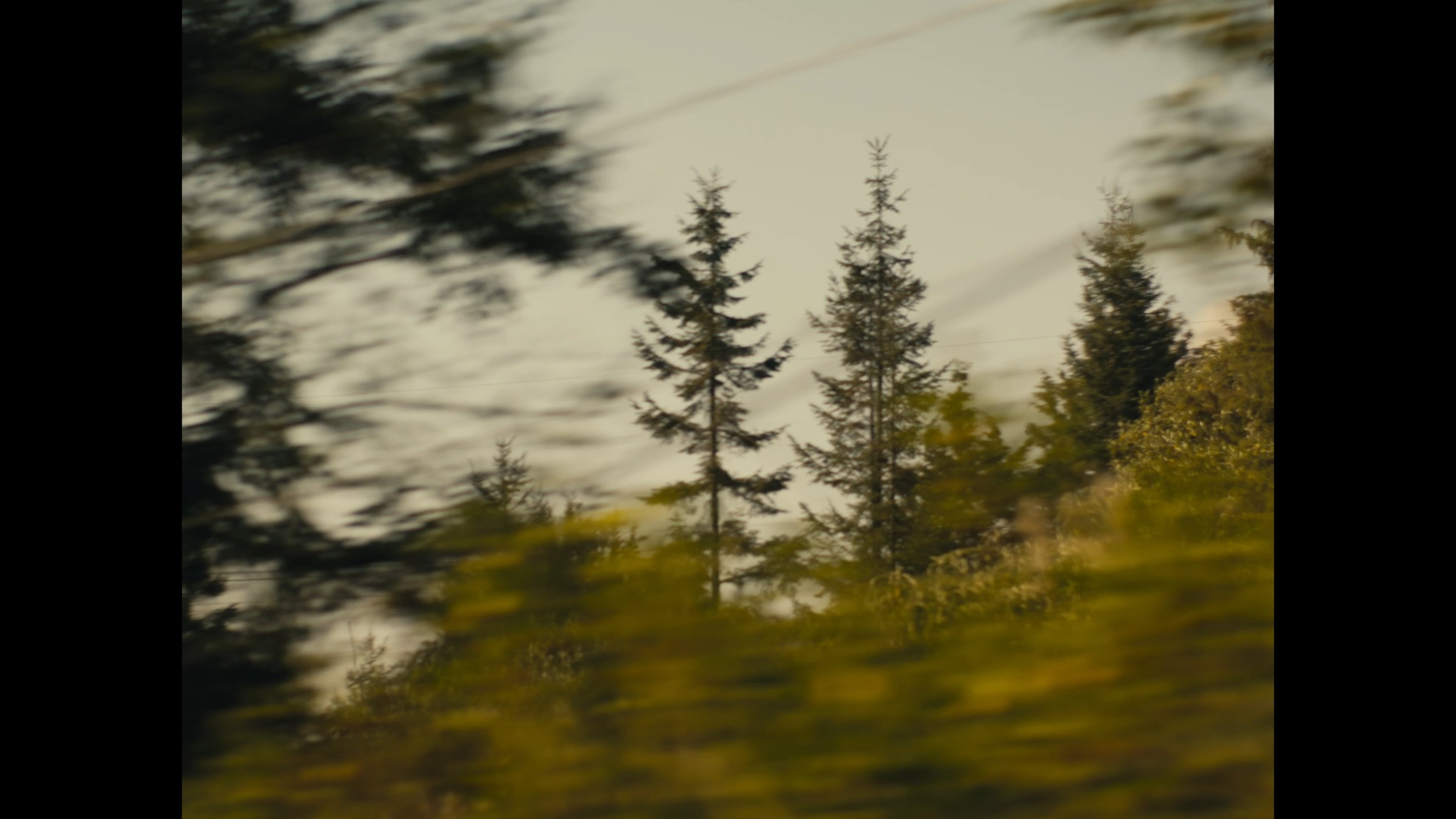 REEL_LGALVAN_2026_STILLS_1.22.1.jpg