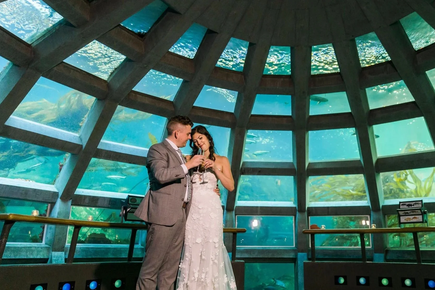 A newlywed couple in wedding attire sharing a drink inside an underwater tunnel at an aquarium - Seattle Aquarium, Seattle WA — Gordon Duo Weddings