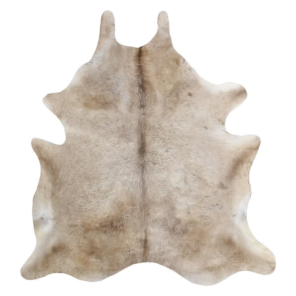 E-14000-113.jpg