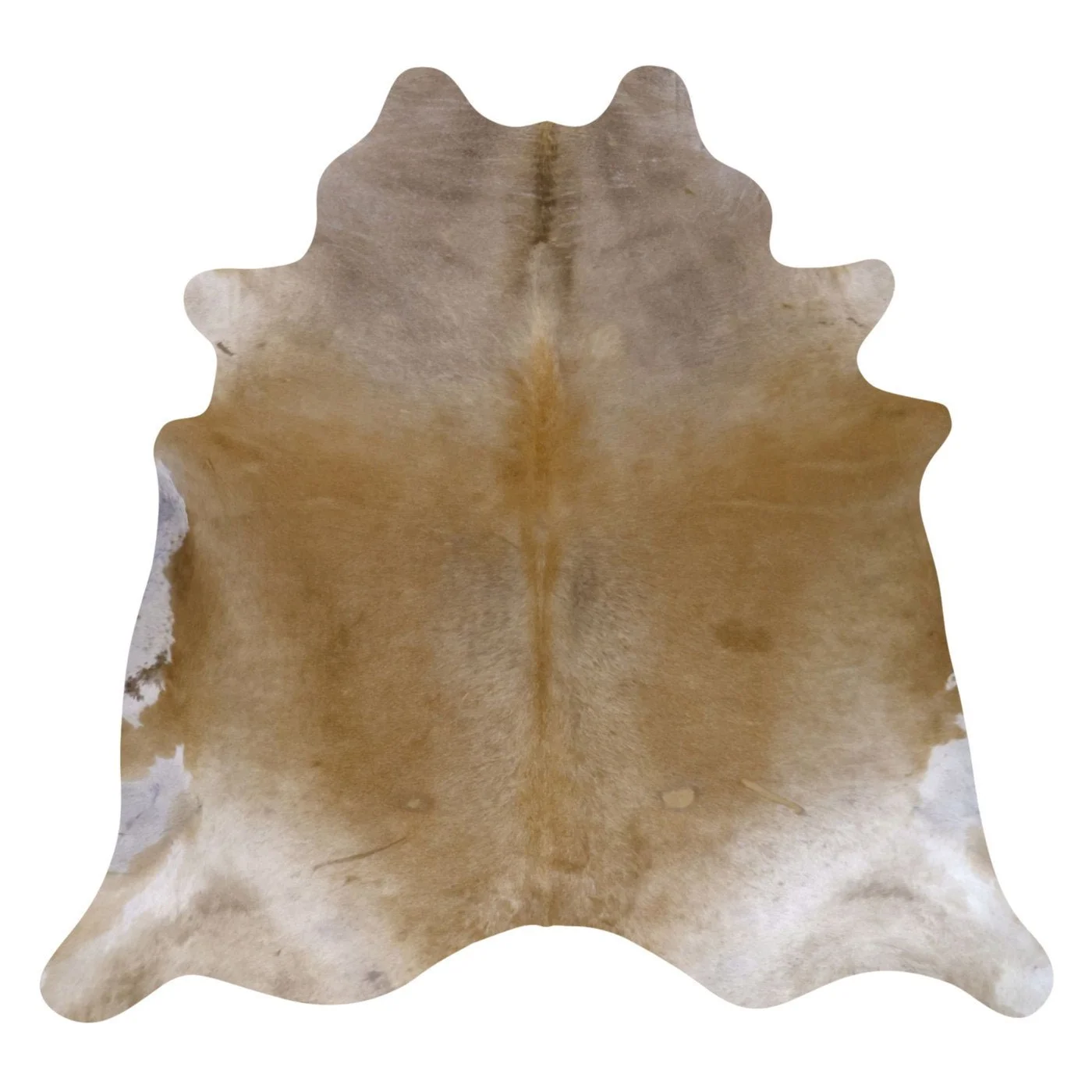 VO10504150.jpg