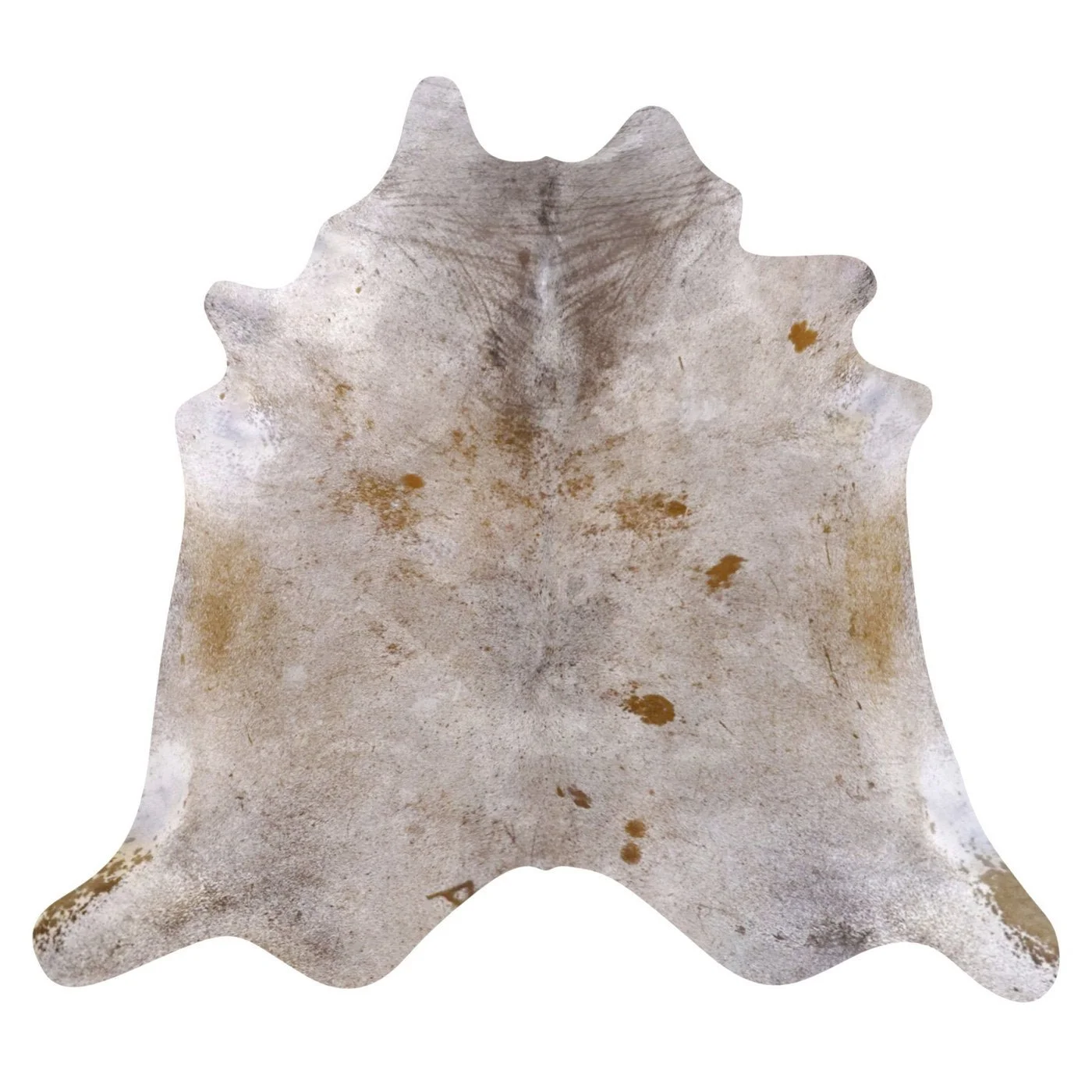 VO10504245.jpg