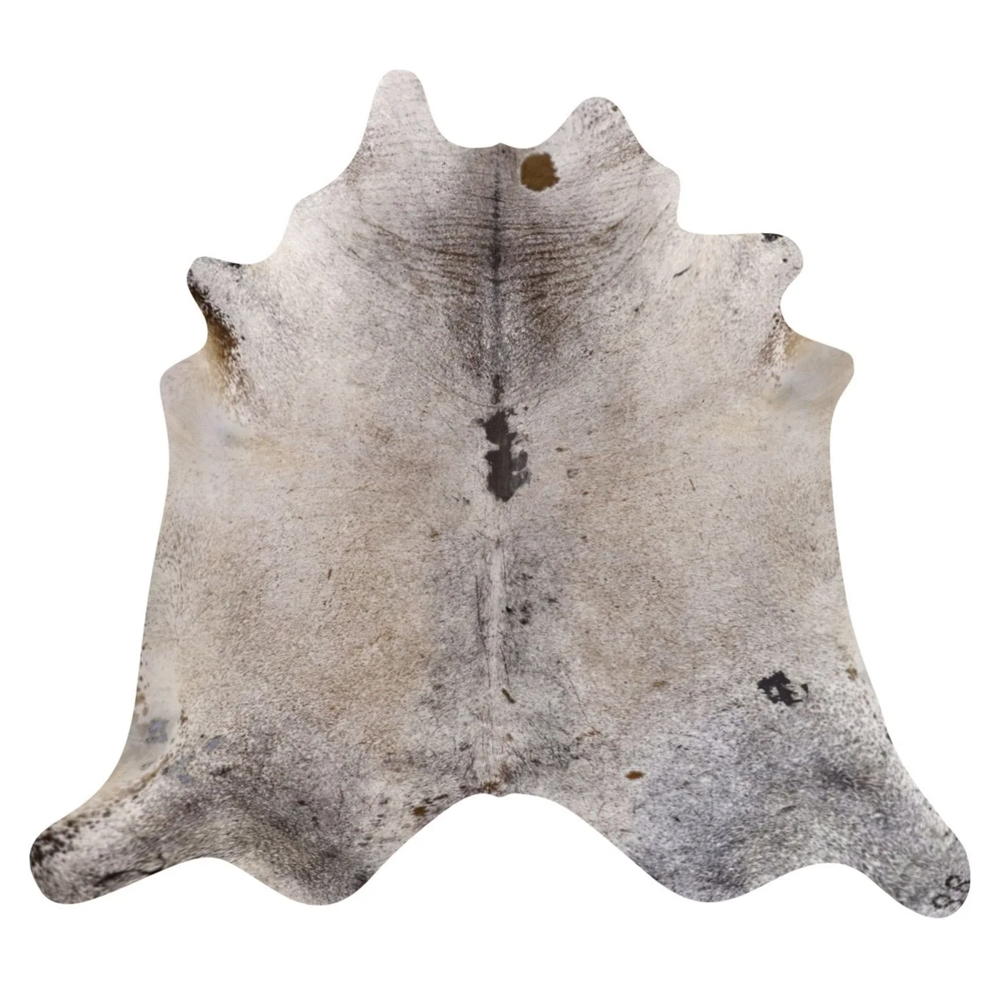 VO10504247.jpg