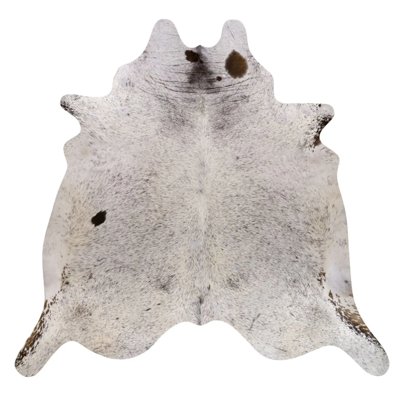 VO10504266.jpg
