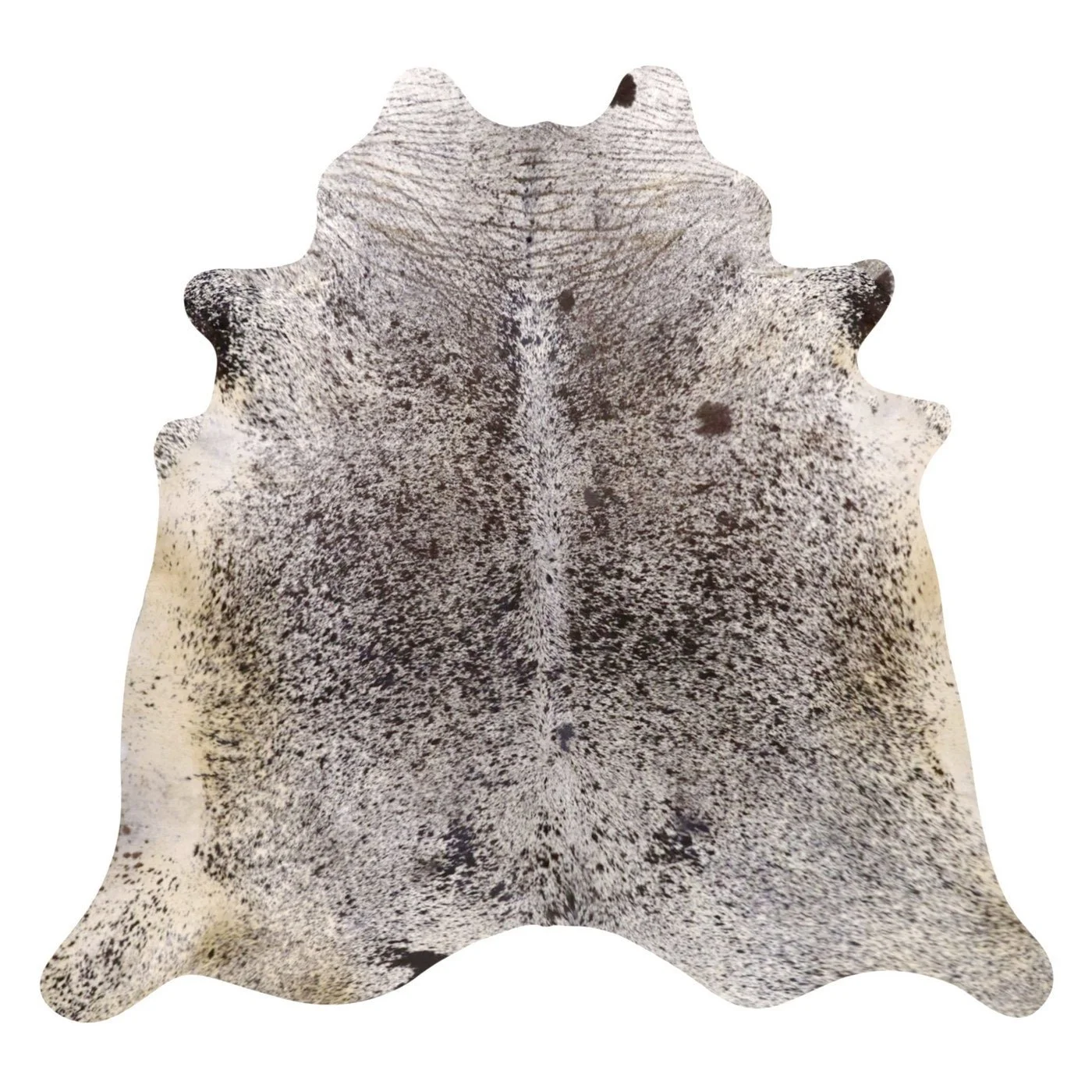 VO10504285.jpg