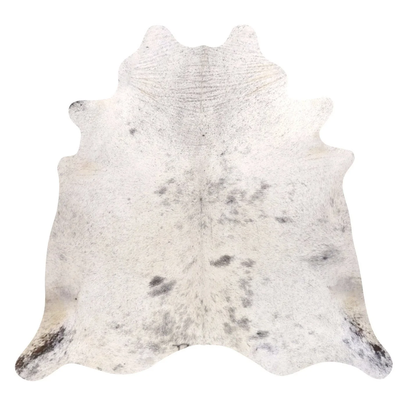 VO10504293.jpg