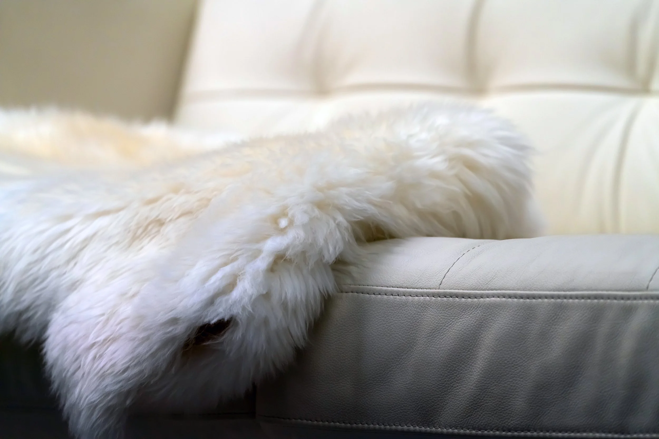 iStock-978615550.jpg