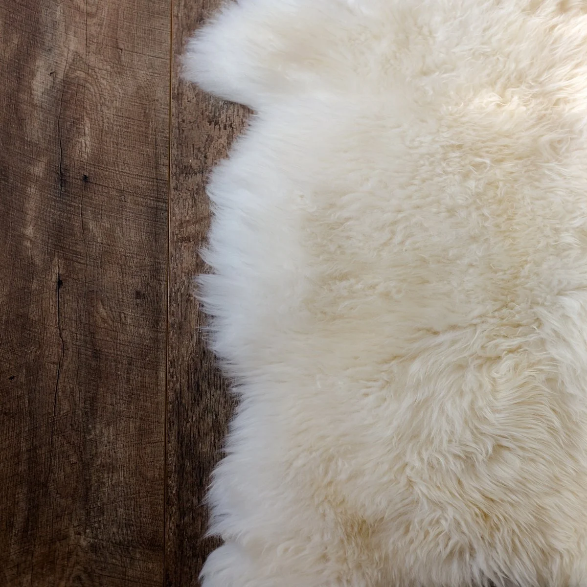 Sheepskin Natural Shape.jpg (Copy)