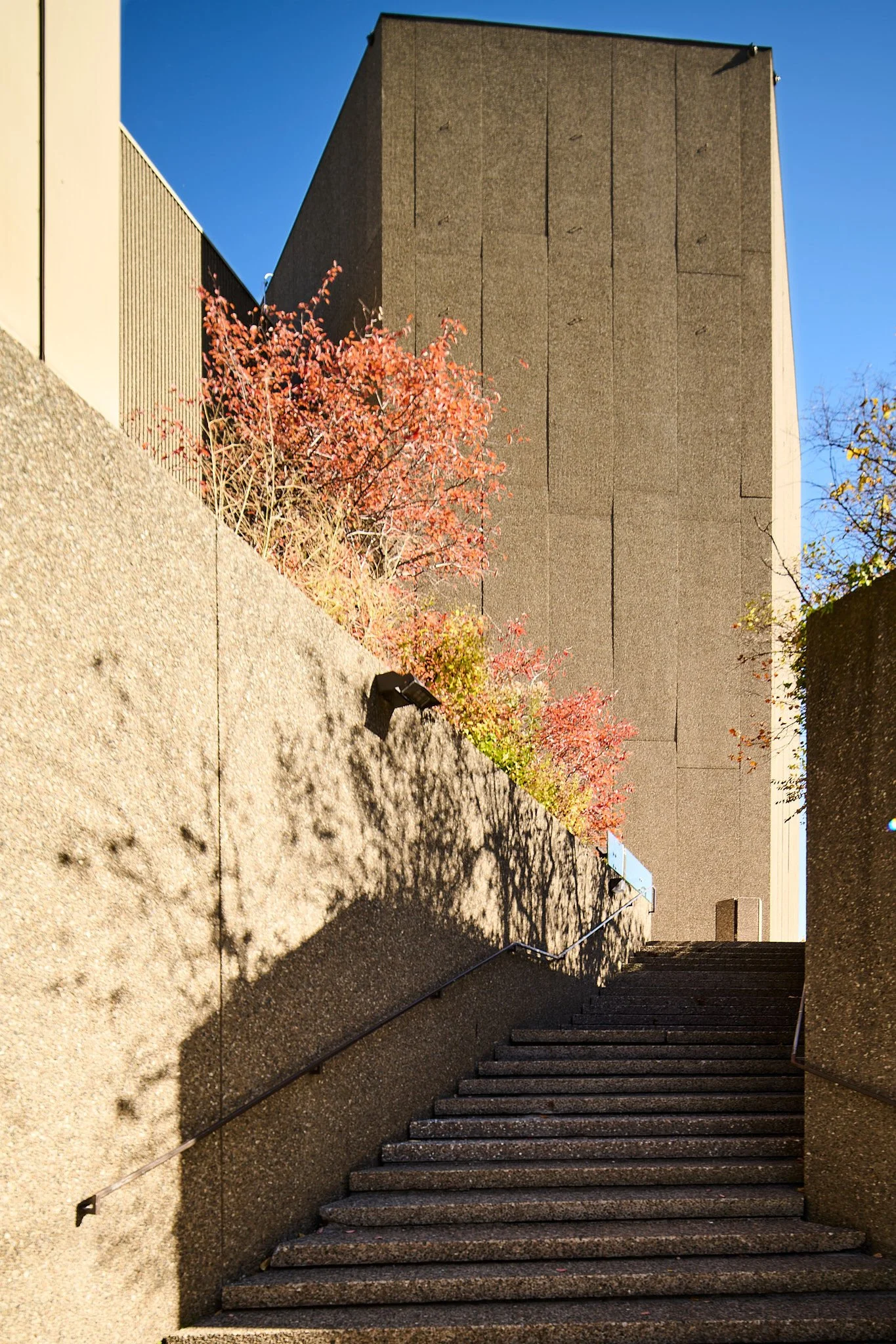 NAC(Oct2025)003.jpg