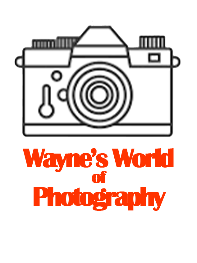 Wayne's World of Photography