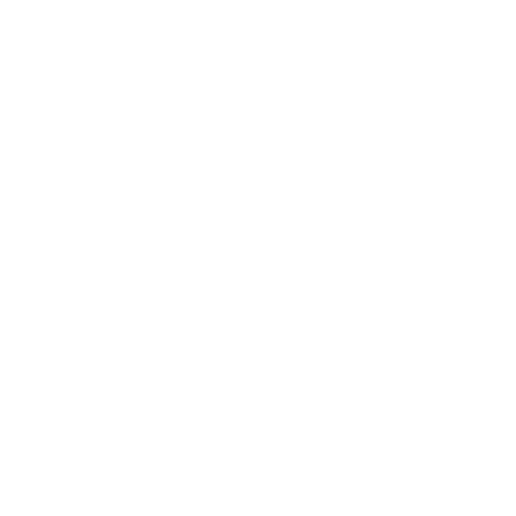 THE HOUSE