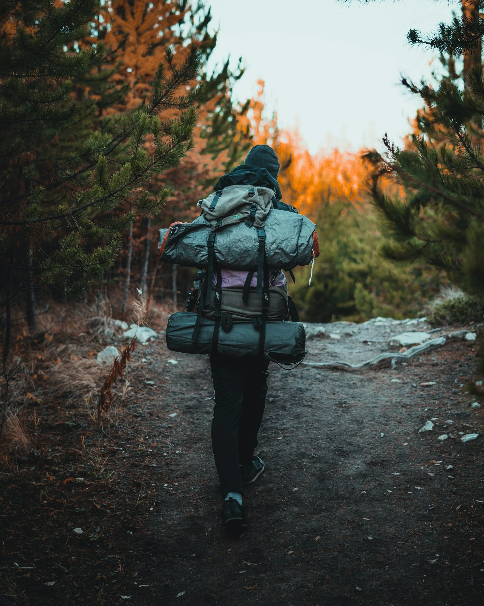 A hiker walking along a dirt trail through a forest with autumn foliage, carrying a backpack and a rolled sleeping bag.