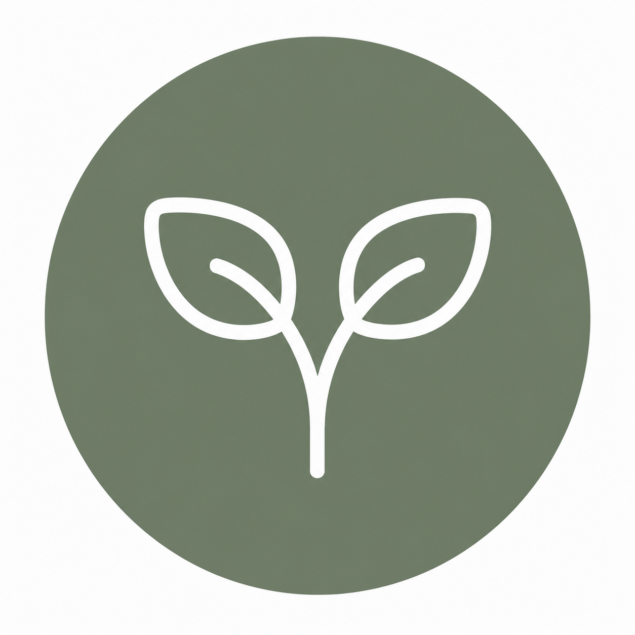 Sprout symbolizing emerging wineries and potential for growth