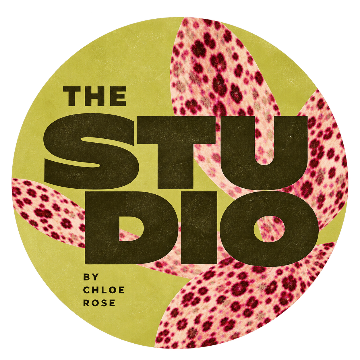 THE STUDIO BY CR