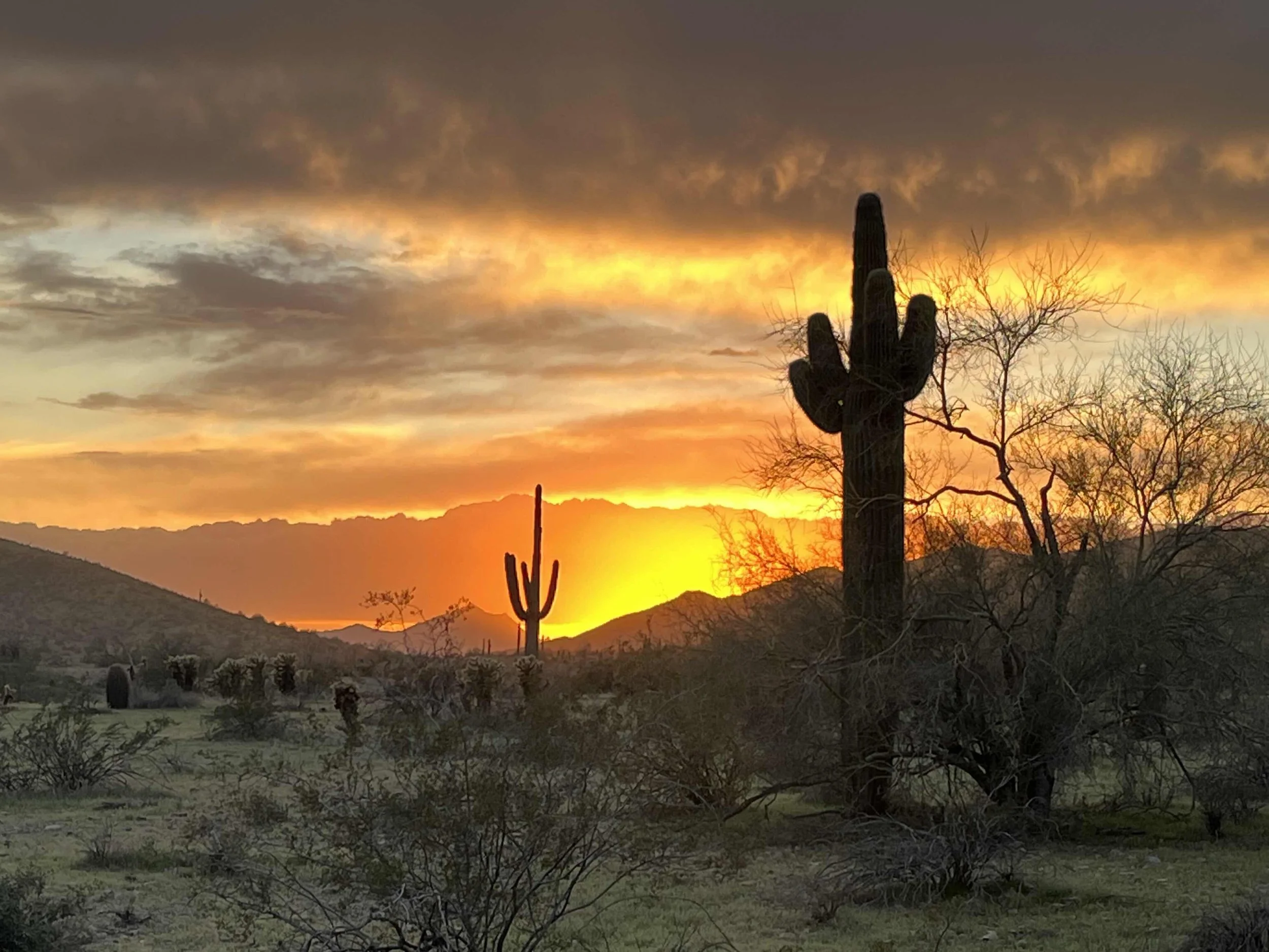 South Mountain sunsets are part of everyday life in Ahwatukee.