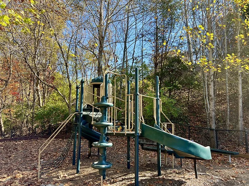 A playground slide and climbing structure outdoors surrounded by trees with autumn foliage.