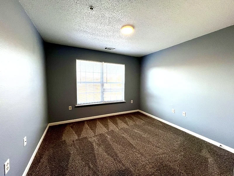 Empty bedroom with gray walls, a window, carpeted floor, and ceiling light.