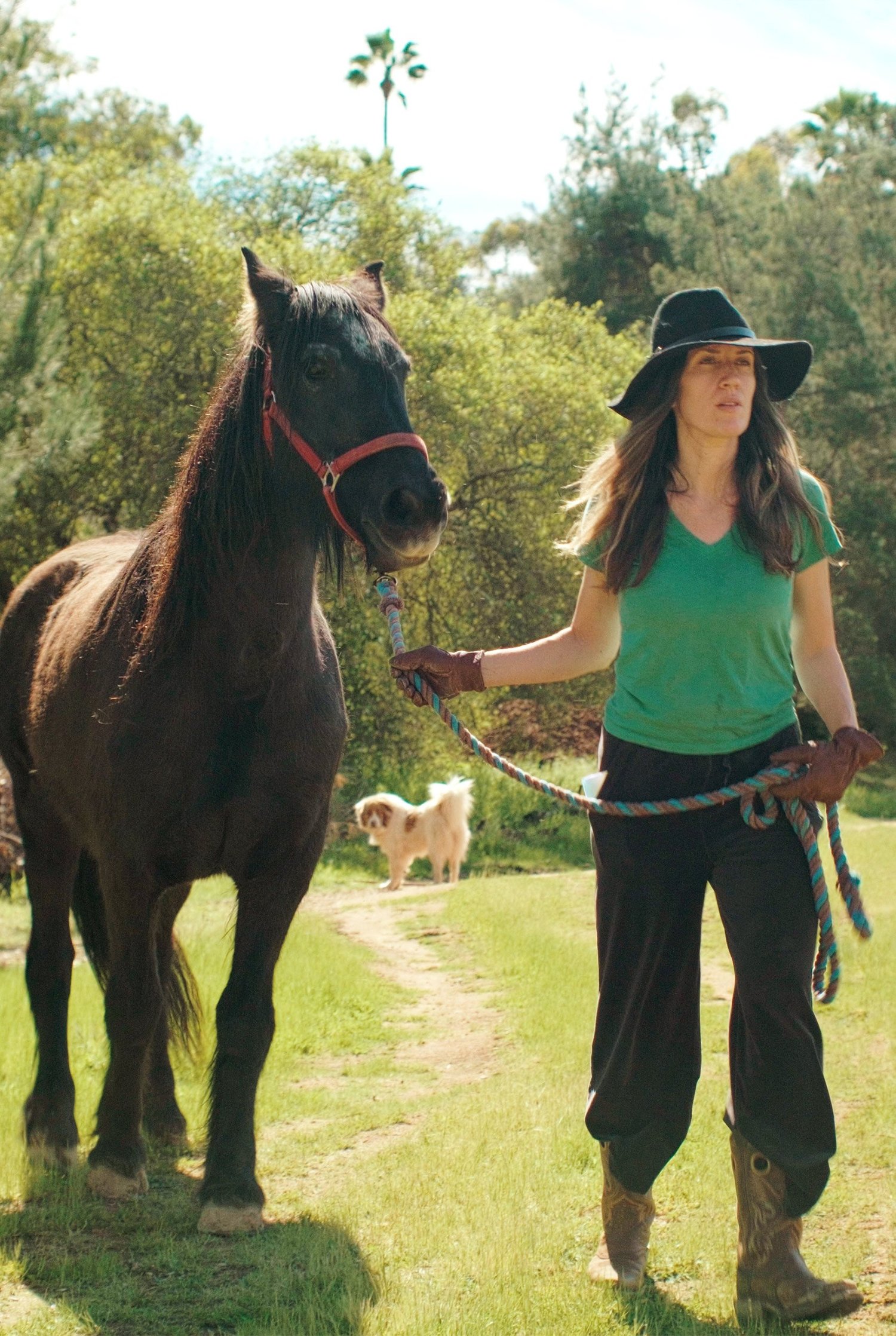 A volunteer caring for the land at the sanctuary