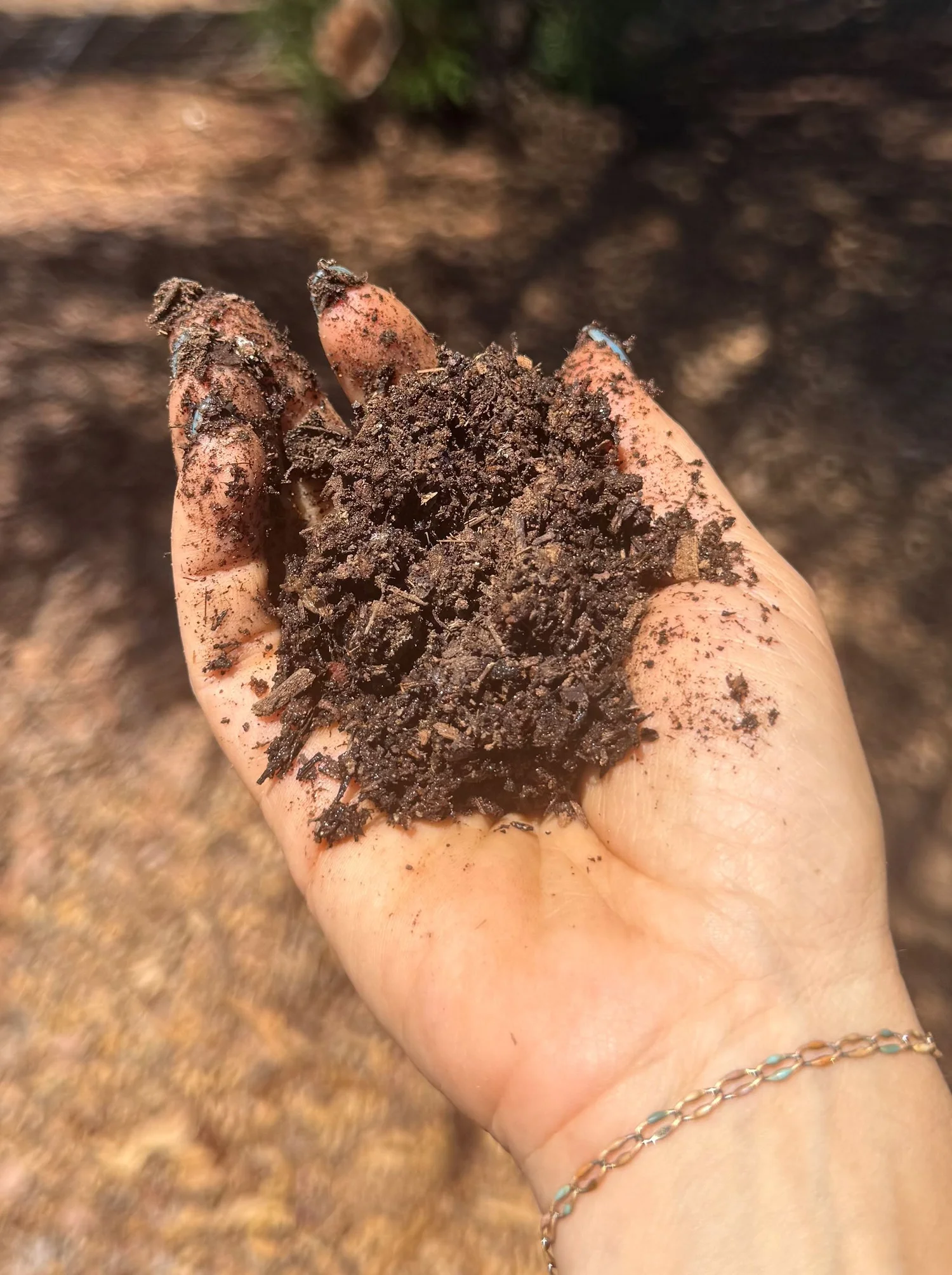 Compost being prepared in the sanctuary garden