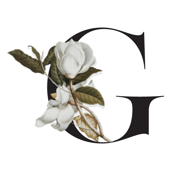 Illustration of a cotton plant with white cotton bolls and green leaves against a dark background.